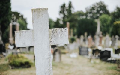 Official Website In Loving Memoriam